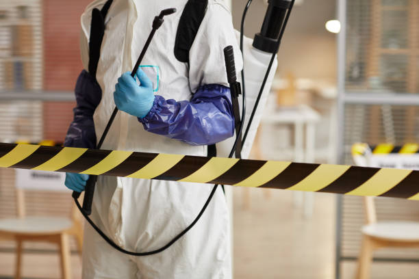 Professional Sewage Cleanup technician working in West Jefferson, OH